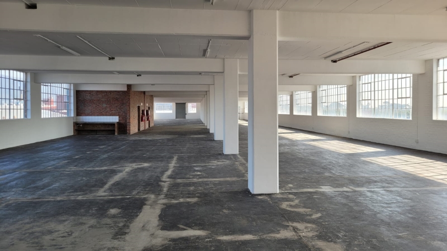 To Let commercial Property for Rent in Diep River Western Cape
